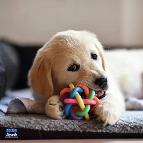 Kit 6 Brinquedos Para Filhote Cachorro Pet Mordedor
