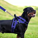 Coleira Peitoral Guia com Amortecedor Peiteira Para Cachorros Fortes